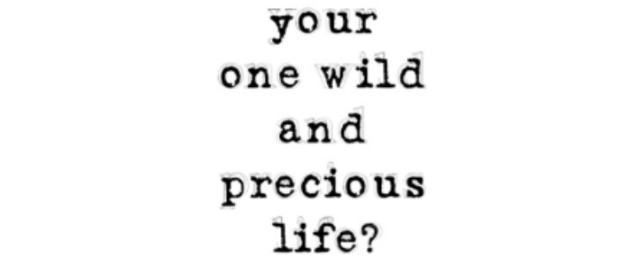 One Wild and Precious Life